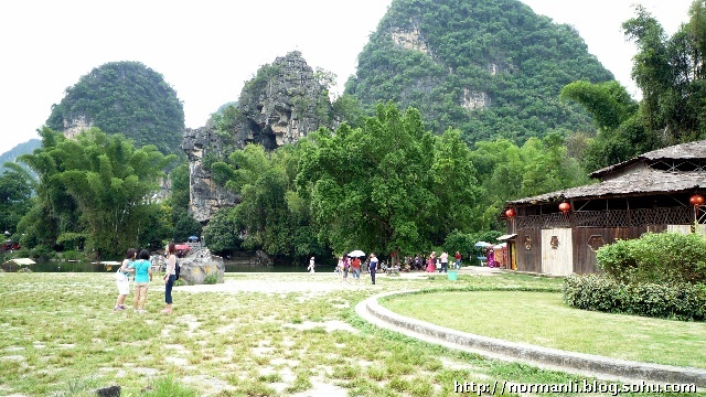 大榕树景区
