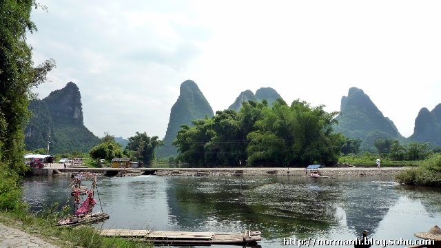 大榕树景色